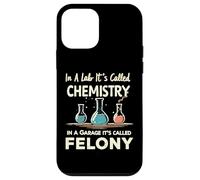 In A Lab It's Called Chemistry Science Funny Sarcastic Pun Case for iPhone 12 mini