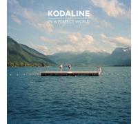 In A Perfect World [VINYL]