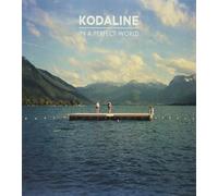 In A Perfect World [VINYL]