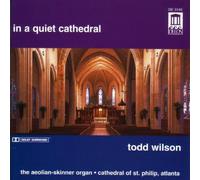 In a Quiet Cathedral by Todd Wilson (1994-08-02)