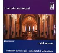 In a Quiet Cathedral by Todd Wilson (2013-05-03)