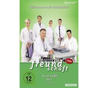 In aller Freundschaft: Staffel 18.1 [DVD]