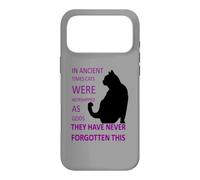 In Ancient Times Cats Were Worshipped As Gods v7 Case for iPhone 17 Pro Max