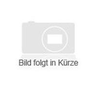 In Berlin, da ist was los! - Wir halten zusammen-Voice and Piano