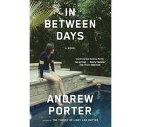 In Between Days (Vintage Contemporaries)
