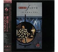 In Concert - Delicate Sound Of Thunder