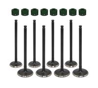 in&Ex Valves Stem Kit Fit for 750 KVF750 4X4I 2005-2021 | For Brute Force 650 KVF650 4x4 2005-2013