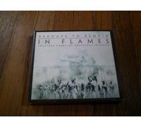 In Flames - Reroute to Remain