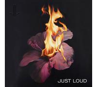 IN FLAMES - WHORACLE (RE-ISSUE 2014) CD NEW