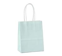 IN-JOOYAA 30 Pcs Macaron Blue Gift Bags Small Kraft Paper Gift Bags with Handles (6.2 x 3.1 x 8.6 in)