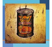 In Light Syrup by Toad The Wet Sprocket [Music CD]