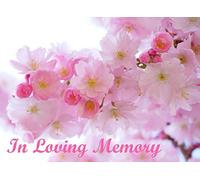 In Loving Memory: Pink cherry blossom, Sakura, Funeral Guest Book, Memorial Guest Book, Condolence Book, Remembrance Book, Memorial Service Guest ... 120 pages for 350 guests, decorated interior.