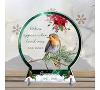 In Loving Memory Robin Snowglobe 2D Flat Plaque - Personalised Remembrance Bereavement Keepsake Christmas Decoration for Loved Ones in Heaven (Green)