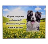 In Memoriam Rectangular Tile Pet Grave Plaque (20 x 15 cm) (Border Collie, 20 x 15 cm)
