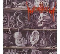 In Memorium & Lost To Antiquity - Lost to Antiquity