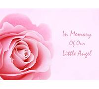 In Memory of Our Little Angel: Funeral Guest Book For Babies with White and Rose Floral Cover | Sign In Book for Memorial Service | Condolence Guest Book