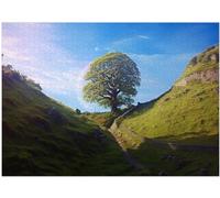 in Memory of Sycamore Gap Tree Jigsaw Puzzle 300/500/1000 Piece (500pc (38×52cm))