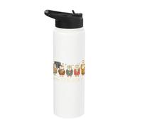 in My Teacher Era Wise Owls School Educator Stainless Steel Insulated Water Bottle