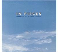In Pieces - Learning To Accept Silence