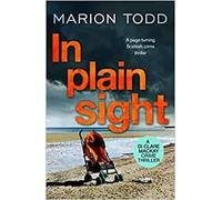 In Plain Sight A page turning Scottish crime thriller Detective Clare Mackay 2 Paperback Illustrated 23 July 2020