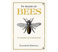In Praise of Bees: A Cabinet of Curiosities