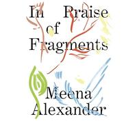 In Praise of Fragments