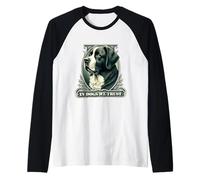 In Saint Bernard We Trust Funny Vintage St. Bernard Dog Raglan Baseball Tee