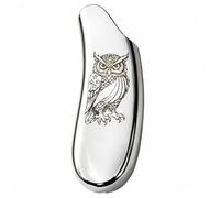 IN SELECT Owl Engraved Metal Lighter Case Compatible with BIC J6 Standard Size, Slim Minimalist EDC Protective Cover, Premium Mirror Silver Optional Custom, Outdoor Camping Gift for Men (Owl Engraved)