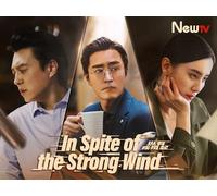 In Spite of the Strong Wind 30