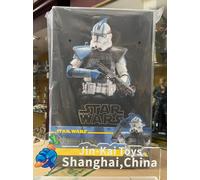 Hot Toys Star Wars: The Clone Wars Arc Trooper Echo 1/6 Scale 30.5 cm Collectible Figure