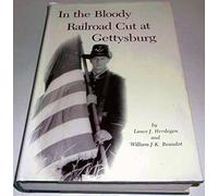 In the Bloody Railroad Cut at Gettysburg