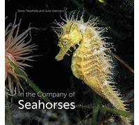 In the Company of Seahorses: 8 (Wild Nature Press)