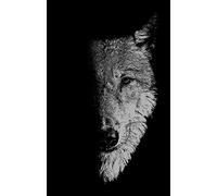 In the Company of Wolves: Werewolves, Wolves and Wild Children (Manchester University Press)