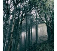 In The Dark Woods [CD+DVD]