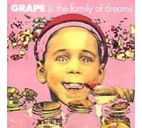 In the Family of Dreams