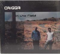 In the Field (UK Import)