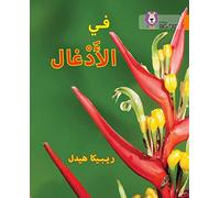 In the Jungle: Level 6 (Collins Big Cat Arabic Reading Programme)
