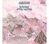 In the Land of Grey and Pink