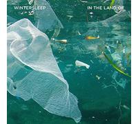 Wintersleep - In The Land Of [VINYL]