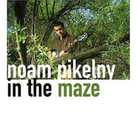 In the Maze by Noam Pikelny (2004) Audio CD