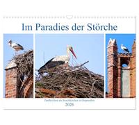 In the paradise of storks - village churches as stork churches in East Prussia UK-Version (Wall Calendar 2026 DIN A3 Landscape), CALVENDO 12 Month Wall Calendar
