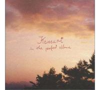 In The Perfect Silence (Cd Extra)