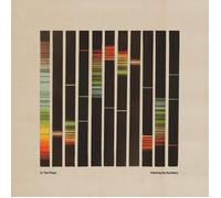In the Pines - Painting By Numbers - Orange [Vinyl LP] [VINYL]