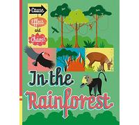 In the Rainforest (Cause, Effect and Chaos!)