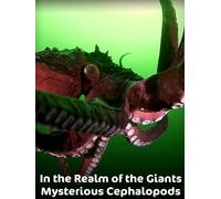 In the Realm of the Giants: Mysterious Cephalopods