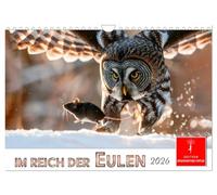In the realm of the owls UK-Version (Wall Calendar 2026 DIN A4 Landscape), CALVENDO 12 Month Wall Calendar