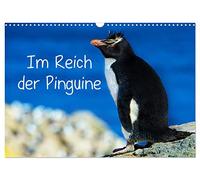 In the realm of the penguins UK-Version (Wall Calendar 2026 DIN A3 Landscape), CALVENDO 12 Month Wall Calendar