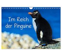 In the realm of the penguins UK-Version (Wall Calendar 2026 DIN A4 Landscape), CALVENDO 12 Month Wall Calendar