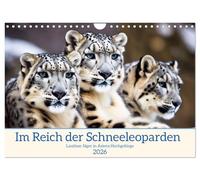 In the realm of the snow leopard UK-Version (Wall Calendar 2026 DIN A4 Landscape), CALVENDO 12 Month Wall Calendar