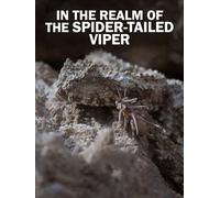 In the Realm of the Spider-Tailed Viper